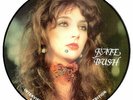 Kate Bush picture disc LP vinyl  record Interview Picture Disc