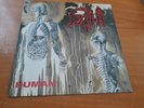 Death ‎– Human- lp'   - first press.- death metal
