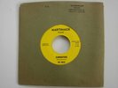 PSYCH GARAGE ROCK THE WHAT ESCAPE DYLLON SUMMERTIME MARTINACK RECORD 7