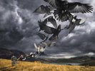 Rattle That Lock by David Gilmour (180g Vinyl LP), 2015, Sony Music
