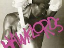HAWKLORDS - 25 YEARS ON 2X PURPLE LIMITED VINYL LP REISSUE (NEW/SEALED)