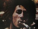 Bob Marley & The Wailers Catch A Fire Island Vinyl LP