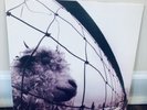 Pearl Jam Vs. - Original 1993 US Pressing Z 53136 - RARE Promo Issue. Near Mint