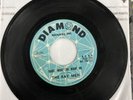 The Ray Men- Baby, What’cha Want Me-1965-7” Promo