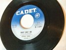George Kirby, What Can I Do/Good Night Irene Northern Soul Record 45 1965 DJ Cpy