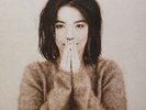 Björk ‎– Debut VINYL LP NEW & SEALED (Bjork)