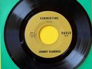 JOHNNY FLAMINGO   Summertime/I   doo wop   VAULT