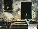 ECHO and The BUNNYMEN LP x 2 Siberia CLEAR VINYL 180 Gram
