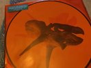 alice in chains vinyl - the devil put dinosaurs here - 2lp picture disc