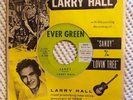 LARRY HALL Sandy Lovin' Tree Orig '59 EVER GREEN Private Sleeve Variant Promo 45