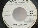 Cavaliers I REALLY LOVE YOU (NORTHERN SOUL PROMO 45) #9321 PLAYS VG+ TO VG++