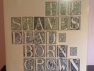 The Staves-Dead & Born & Grown- 2012 EU LP-Hard to Find-Unsealed-Unplayed