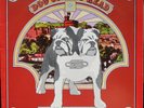 STATUS QUO DOG OF TWO HEAD LP Rare PYE NSPL 18371 Translucent Red EXCELLENT
