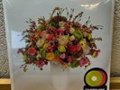 Tocotronic Schall & Wahn Colored Vinyl 20 rar sold out coloured neon grün pink M