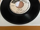 Reggae 45 Roman Stewart - Praise Jah (Pressing Jamaica)