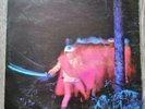 Black Sabbath Paranoid 1970 Large Vertigo Swirl 6360 011