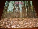 TWINK 33RPM LP THINK PINK ROCK PSYCH JOHN ALDER GATEFOLD PINK WAX AKARMA