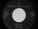 Modern Soul Boogie 45 WYLIE Fan-Tasy KAM EXECUTIVE VG++ HEAR