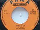 45 ROCKSTEADY / THE TERMITES / PUSH IT UP / PAMA RECORDS / LISTEN