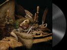 WOLVES IN THE THRONE ROOM - 'Primordial Arcana' LP