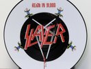 Slayer Reign in Blood 12