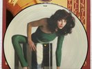 KATE BUSH -The Kick Inside- Rare 2nd/Export Pressing UK Picture Disc LP (Vinyl)
