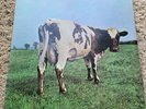Pink Floyd Atom Heart Mother Vinyl LP Harvest Records SKAO-382 EX  Gatefold