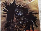 PROTECTOR: Urm The Mad Vinyl LP 33 RPM 12