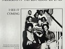 disco funk ltd re 7” MELLOW MADNESS BAND Boogie “M” 2015 Balto-Soul