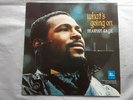 MARVIN GAYE       