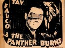Tav Falco & The Panther Burns RARE '80 7