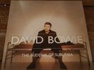 David Bowie The Buddha of 2 LP 180g Vinyl aus der Brilliant Adventure Box 2021