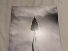 Manchester Orchestra A Black Mile To The Surface Vinyl Rare Red Etched Vinyl