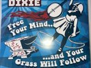 HAYSEED DIXIE - Free Your Mind & Your Grass Will Follow [vinyl] - Vinyl NEW