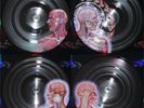 TOOL **Lateralus   180 GRAM RECORD LP VINYL  SEALED IMMEDIATE SHIPMENT