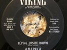 AMERIKA “FLYING UPSIDE DOWN” ** PRIVATE GARAGE PSYCH FUZZ VIKING** 45