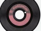 The Wind/Catskills? 45 Diablo/Dilly Do AUDIODISC doo wop UNKOWN acetate 382