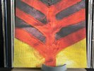 Yeah Yeah Yeahs - Show Your Bones Vinyl LP | NEW & FACTORY SEALED