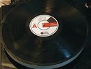 WHITE WARD - Futility Report TEST PRESS (100% donation to Ukraine)