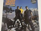 Naughty By Nature 1991 Self Titled Vinyl LP OG UK Press Big Life Records OOP