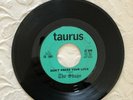 THE SHAGS,   rock  GARAGE PUNK  60'S CONNECTICUT