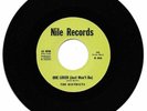 Districts One Lover (Just Won't Do)  / Like Clouds Northern Soul Reissue