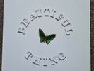 The Stone Roses Beautiful Thing Vinyl 12