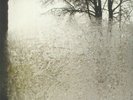 BON IVER - For Emma Forever Ago - Vinyl (LP)