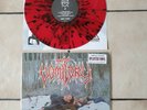 Vomitory raped in their own blood  Splatter Vinyl first Press 2007'