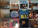 The Beach Boys, Bee Gees, The Troggs u. andere 18 div. Vinyl LPs