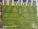 Ween The Friends EP 12” UK Picture Disc w/Sleeve Ltd 2007 Out Of Print UNPLAYED
