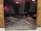 SIGNED Hayley Williams - FLOWERS for VASES / descansos Clear Vinyl LP paramore