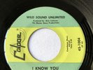 1960s Northern Soul 45 Wild Sound Unlimited I Know You Colpar Records VG