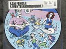 Sam Fender Seventeen Going Under Picture Disc Vinyl